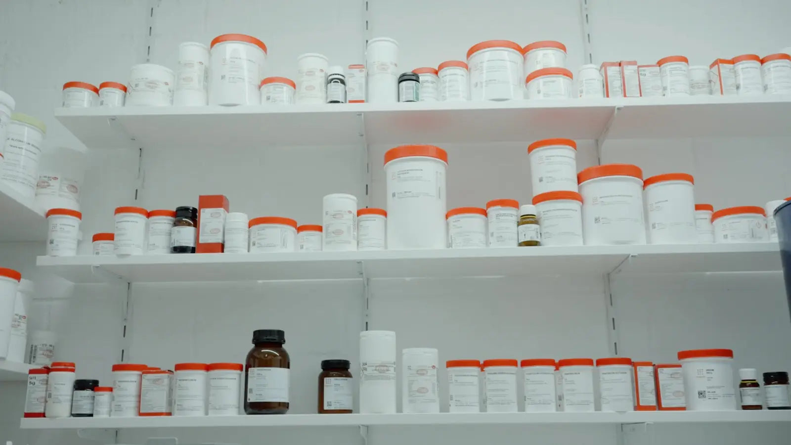 Which Vitamins Actually Support Your Immune System? A No-Nonsense UK Guide System UK: Evidence Doses and Limits