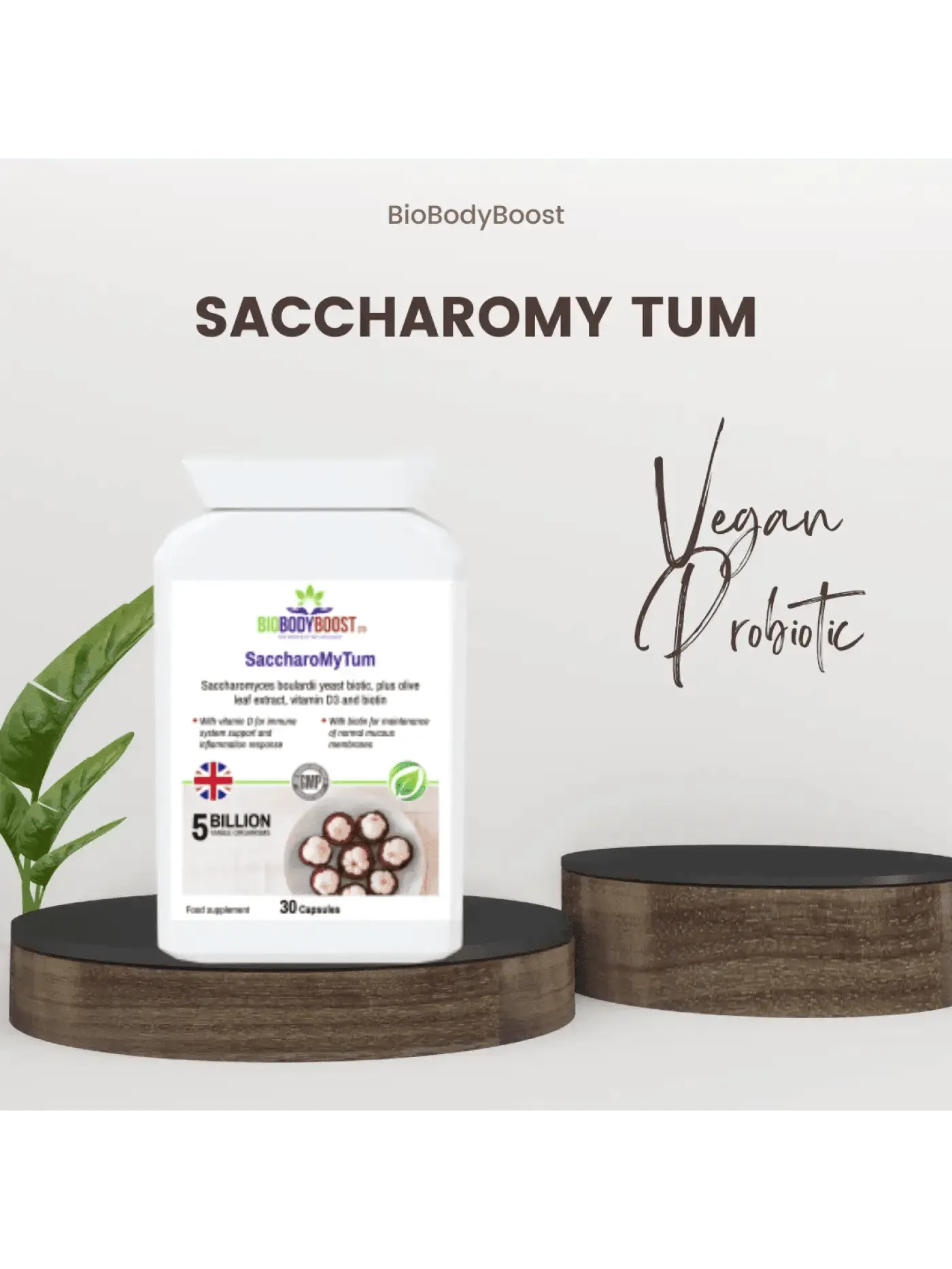 BioBodyBoost Saccharomy Tum Probiotic in Capsules, plant-based travel supplements for gut health