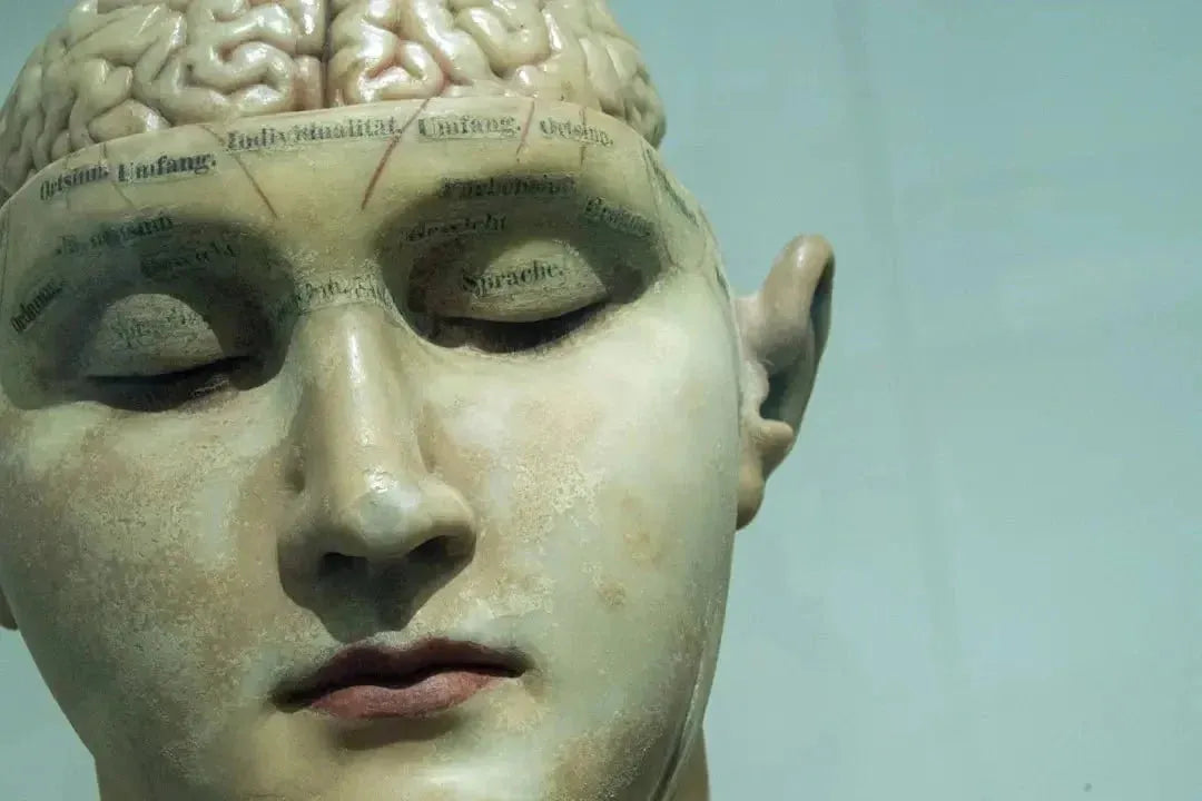 Food for Mental Clarity: Boosting Brain Power with Amino Acids Clarity and More