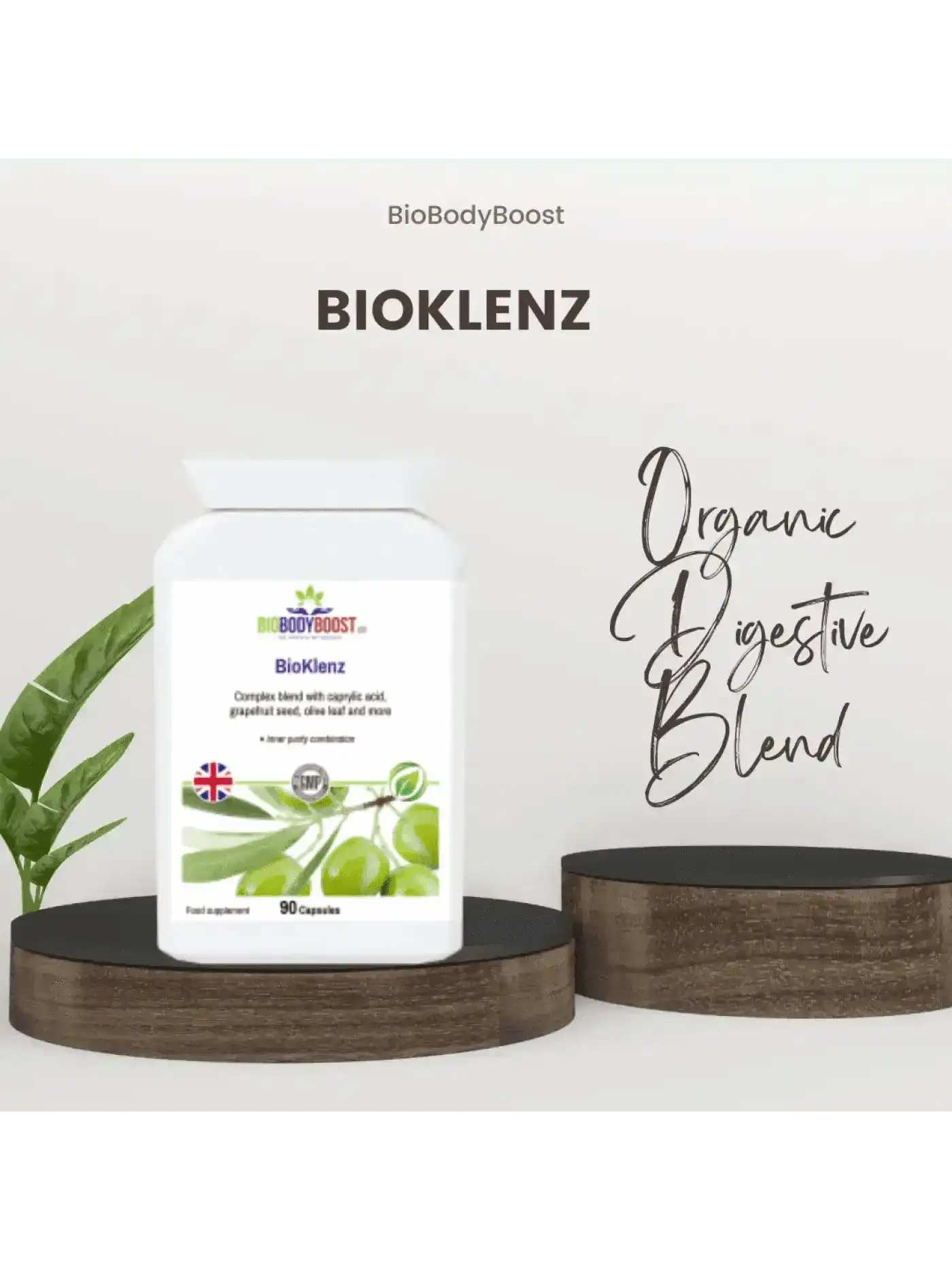 BioBodyBoost Food Supplement BioBodyBoost Plant-Based Travel Supplements Bundle