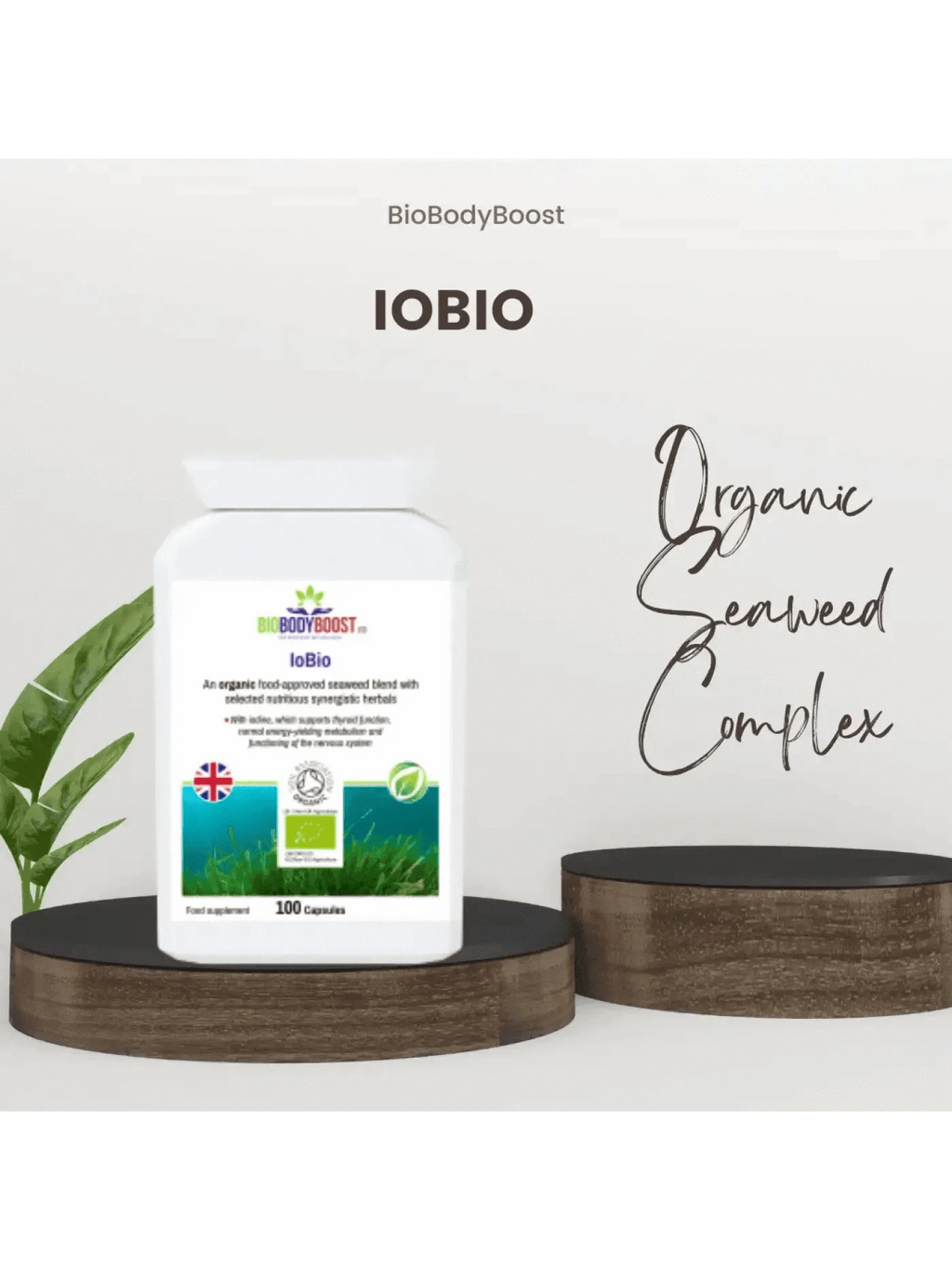 BioBodyBoost Food Supplement BioBodyBoost Plant-Based Travel Supplements Bundle
