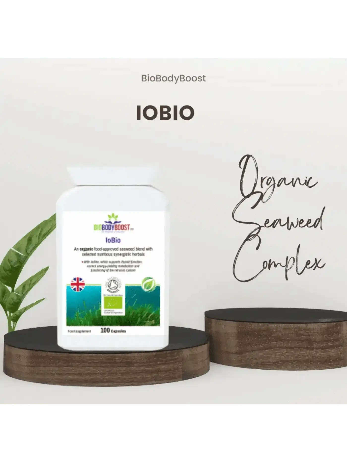 BioBodyBoost Food Supplement BioBodyBoost Plant-Based Travel Supplements Bundle
