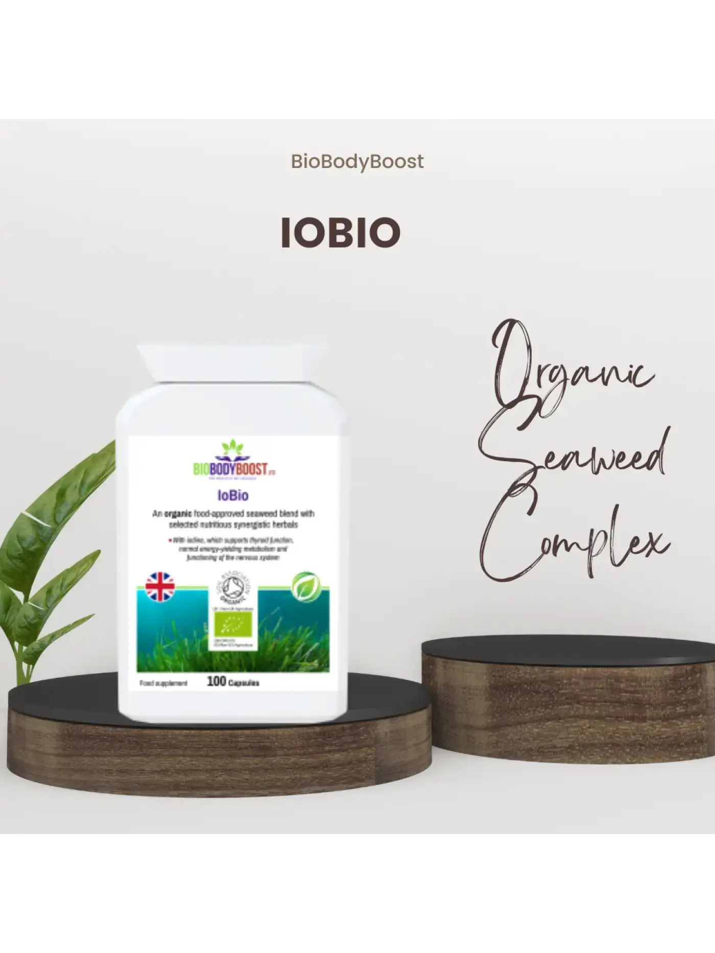 Biobodyboost Health & Wellness Travel Pack - Portable Food Supplement Bundle - Premium Food Supplement from BioBodyBoost - Just £47.97! Shop now at BioBodyBoost