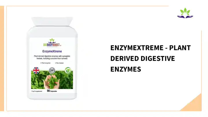 EnzymeXtreme - Plant Derived Digestive Enzymes by@Outfy