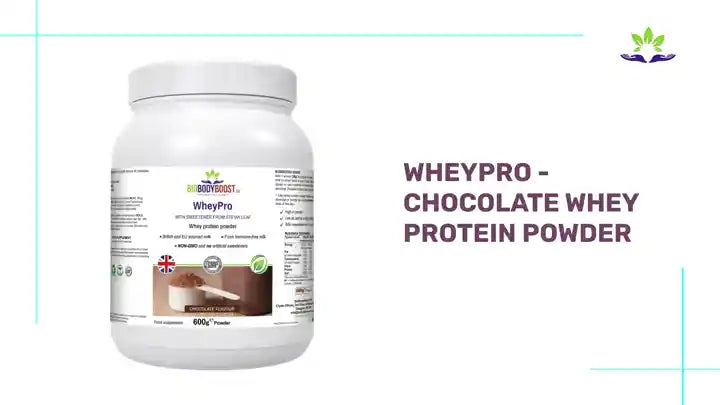 WheyPro - Chocolate Whey Protein Powder by@Outfy