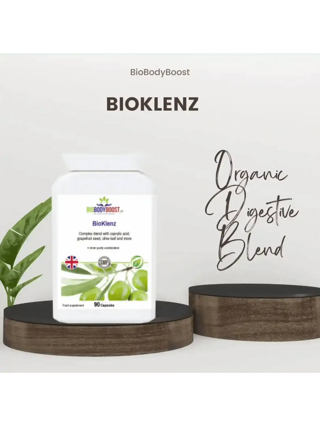 BioBodyBoost plant-based travel kit UK — probiotic immune and energy supplements for long-haul travel, room temperature stable