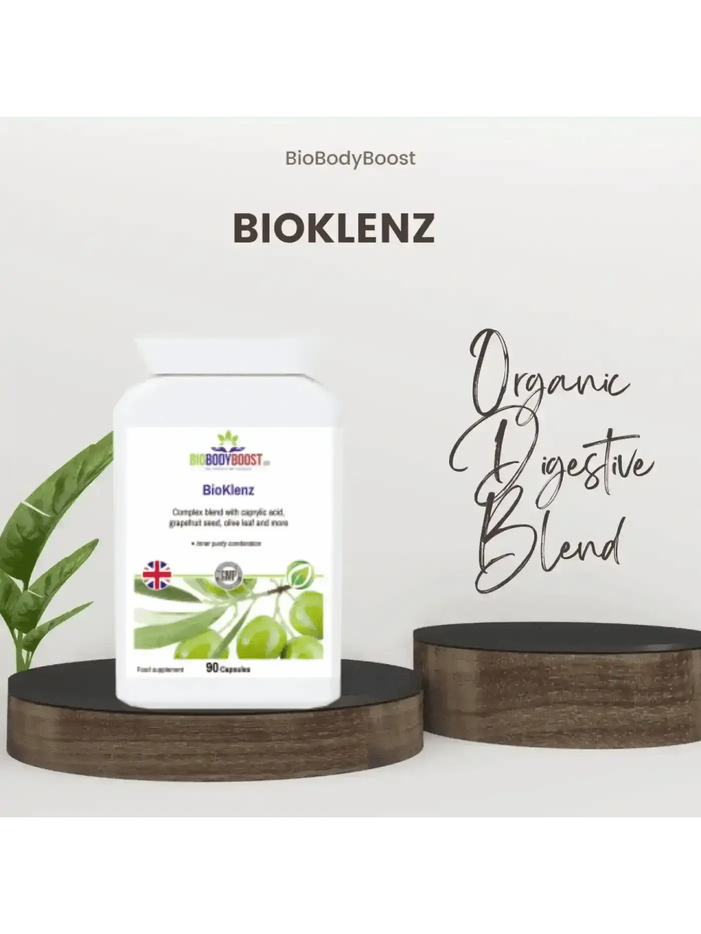 BioBodyBoost plant-based travel kit UK — probiotic immune and energy supplements for long-haul travel, room temperature stable